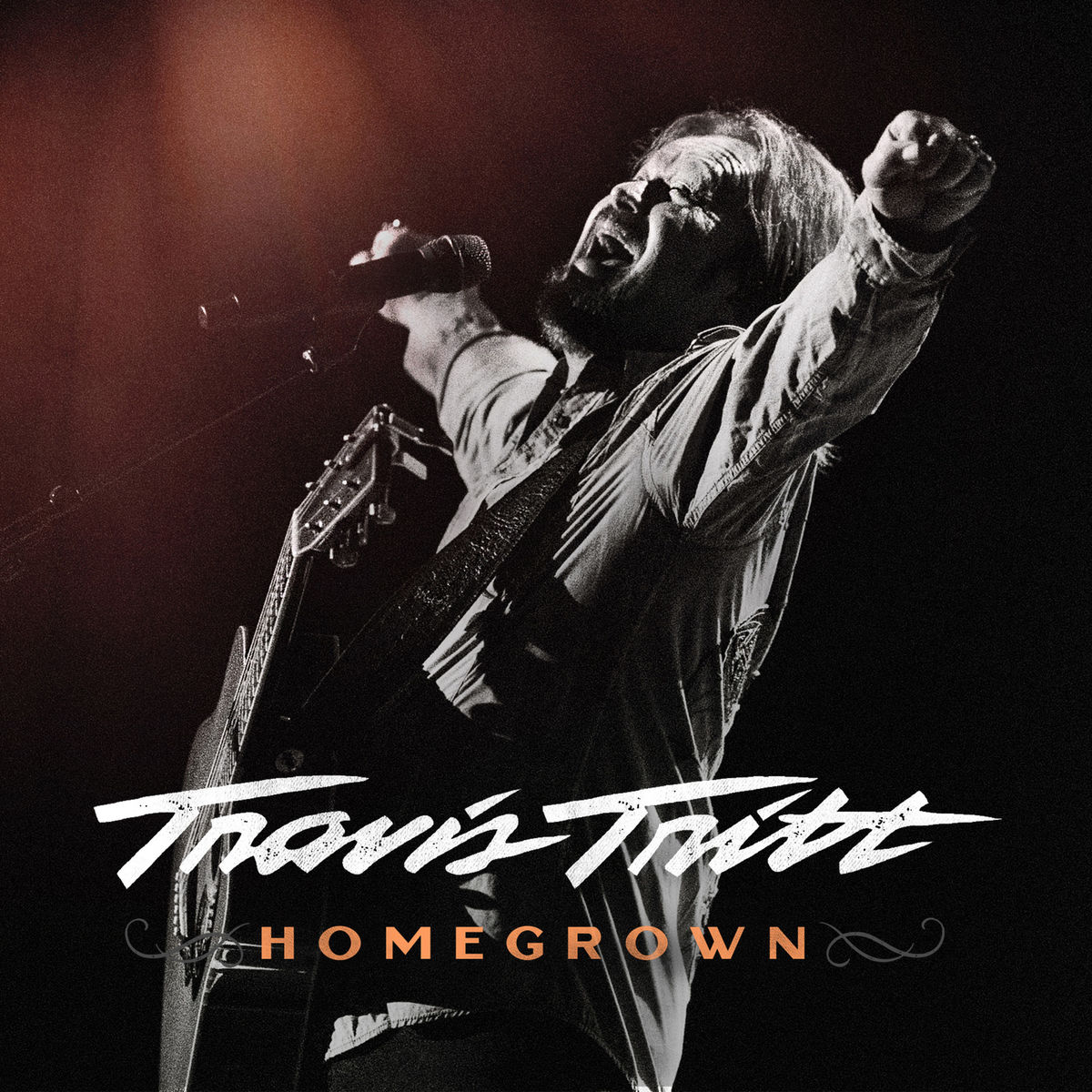 Travis Tritt